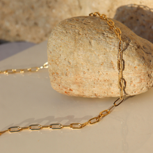 Load image into Gallery viewer, Fabuleux Vous Steel Me Stainless Paper Clip Chain Yellow Gold 50cm