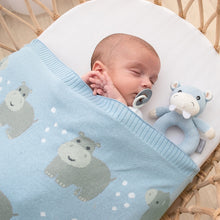 Load image into Gallery viewer, Living Textiles Whimsical Baby Blanket- Hippo/Blue