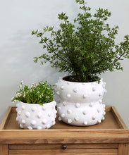 Load image into Gallery viewer, French Country Collections Figaro Bauble Pot Large