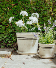 Load image into Gallery viewer, French Country Collections Lisbon Herb Pot Large