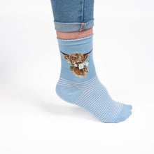Load image into Gallery viewer, Wrendale Designs "Daisy Coo" Highland Cow Socks