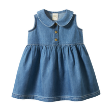 Load image into Gallery viewer, Nature Baby Birdy Dress- Sky
