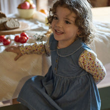 Load image into Gallery viewer, Nature Baby Birdy Dress- Sky