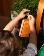 Load image into Gallery viewer, Ecoya Mandarin Gin Festive Fragrance Duo