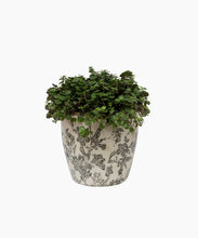 Load image into Gallery viewer, French Country Collections Black Floral Pot Large