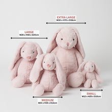 Load image into Gallery viewer, Jiggle & Giggle Pink Bunny Medium