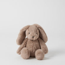 Load image into Gallery viewer, Jiggle & Giggle Taupe Bunny Small
