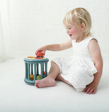 Load image into Gallery viewer, Tolo Rolling Shape Sorter, Bio Range