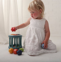 Load image into Gallery viewer, Tolo Rolling Shape Sorter, Bio Range