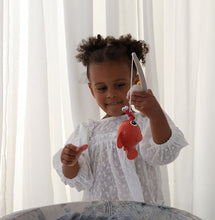 Load image into Gallery viewer, Tolo Funtime Fishing Set, Bio Range