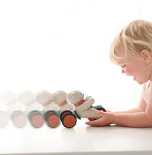 Load image into Gallery viewer, Tolo Push and Go Teddy, Bio Range