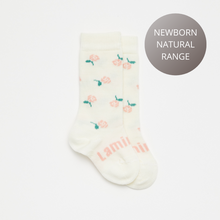 Load image into Gallery viewer, Lamington Merino Wool Knee High Socks-Rosie