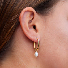 Load image into Gallery viewer, Fabuleux Vous Steel Me Yellow Gold with Fresh Water Pearl Huggies