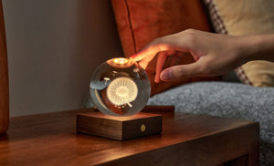 Gingko Walnut Dandelion 3D Laser Engraved Light