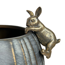 Load image into Gallery viewer, Linens &amp; More Rabbit Hanging Rim in Antique Gold
