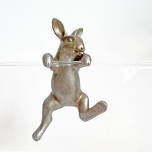 Load image into Gallery viewer, Linens &amp; More Rabbit Hanging Rim in Pewter
