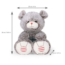 Load image into Gallery viewer, Kaloo Large Bear Mae 38cm
