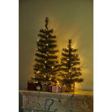 Load image into Gallery viewer, Sirius Alvin Tree H60cm Green Giftboxed
