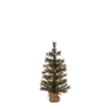 Load image into Gallery viewer, Sirius Alvin Tree H60cm Green Giftboxed
