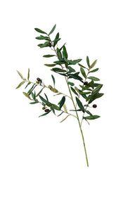 Flower Systems Olive Branch 104cm