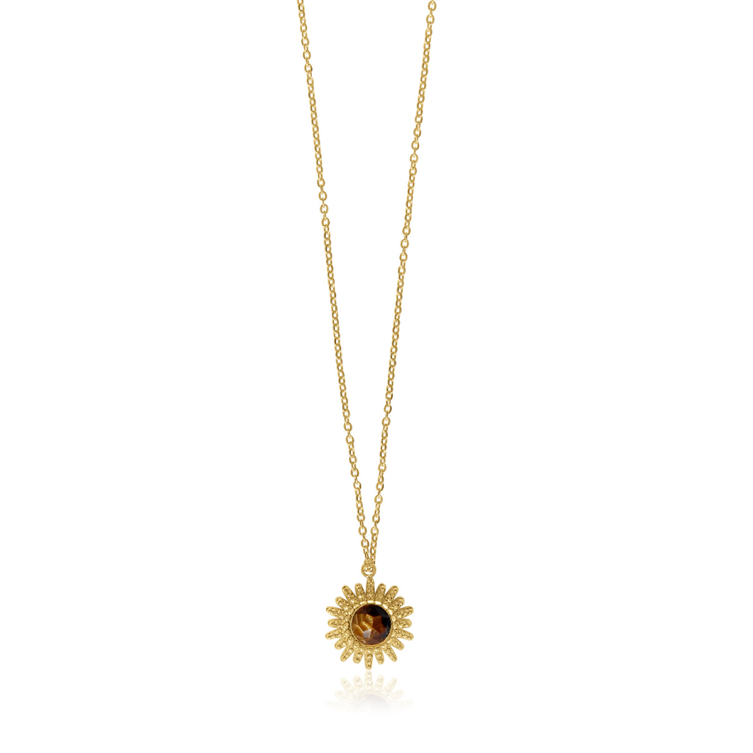 Fabuleux Vous Steel Me Soleil Tigers Eye Necklace