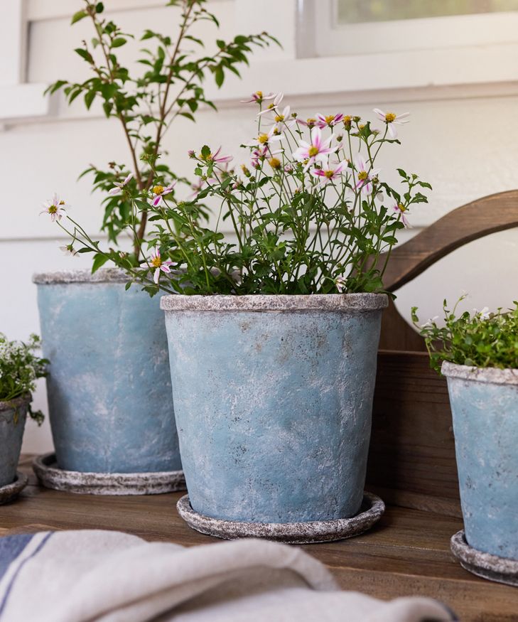 plant pot in french French Country Collections Sea Blue Plant Pot & Saucer Medium – Peta M  Homeware & Gifts