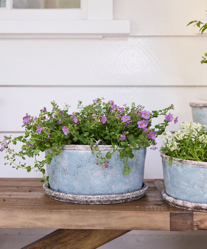 French Country Collections Sea Blue Wide Plant Pot & Saucer Large