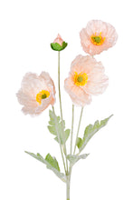 Load image into Gallery viewer, Flower Systems Iceland Poppy Spray 62cm- Blush
