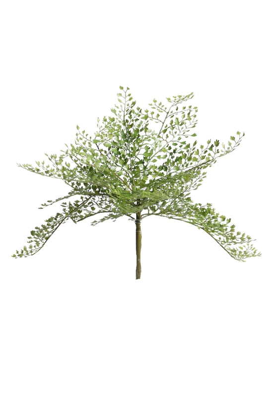Flower Systems Maidenhair Fern Bush 35.5cm