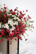 Load image into Gallery viewer, Flower Systems Wax Flower Bush 40cm Cream
