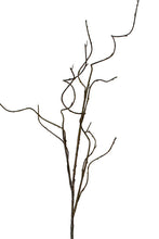 Load image into Gallery viewer, Flower Systems Curly Willow Branch 1.3m
