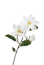 Load image into Gallery viewer, Flower Systems Legacy Magnolia Spray Cream 71cm
