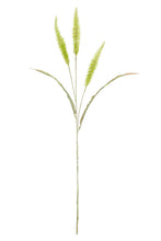 Load image into Gallery viewer, Flower Systems Fountain Grass 94cm Sage Green
