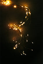 Load image into Gallery viewer, Flower Systems 470 LED Waterfall Seed Lights Varied Length
