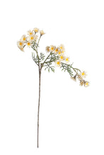 Load image into Gallery viewer, Flower Systems Daisy Spray Cream 89cm
