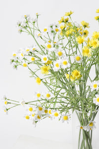 Flower Systems Mini Daisy Sp Yellow 68cm