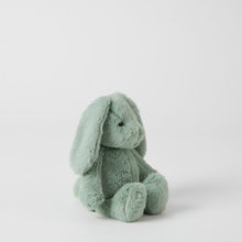 Load image into Gallery viewer, Jiggle &amp; Giggle Green Bunny Small
