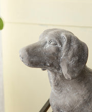 Load image into Gallery viewer, Flower Systems Manon Dog Planter
