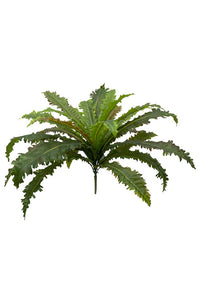 Flower Systems Margarintum Fern Bush 61cm