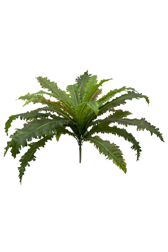 Flower Systems Margarintum Fern Bush 61cm