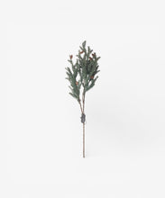 Load image into Gallery viewer, French Country Collections Pinecone Light Up Branch 70cm
