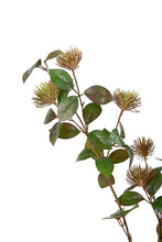 Load image into Gallery viewer, Flower Systems Leucospermum Spray Fall Grey 101cm
