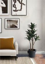Load image into Gallery viewer, Flower Systems Dracaena Potted 91cm
