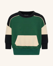 Load image into Gallery viewer, Tiny Tribe Forest Green Fun Tribe Segment Sweater
