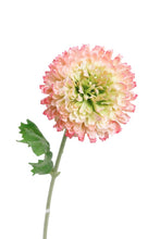 Load image into Gallery viewer, Flower Systems Zinnia Spray Cream/Pink 46cm
