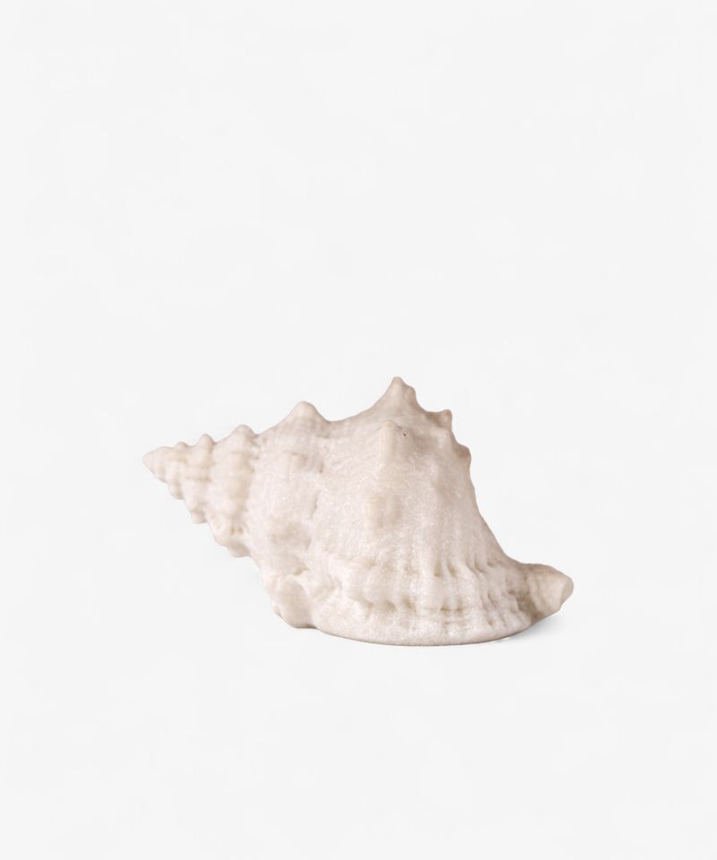 French Country Collections Conch Shell Decorative Light Up