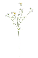 Load image into Gallery viewer, Flower Systems Mini Daisy Sp Yellow 68cm
