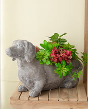 Load image into Gallery viewer, Flower Systems Manon Dog Planter
