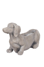 Load image into Gallery viewer, Flower Systems Manon Dog Planter
