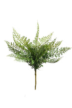 Load image into Gallery viewer, Flower Systems Hen &amp; Chicken  Fern Bush 33cm
